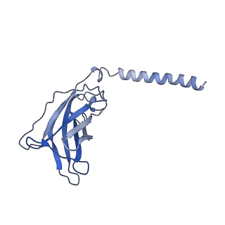 20873_6v8i_BJ_v1-1
Composite atomic model of the Staphylococcus aureus phage 80alpha baseplate