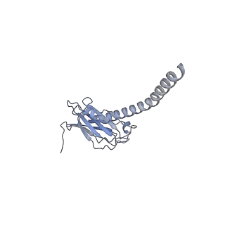 20873_6v8i_BL_v1-1
Composite atomic model of the Staphylococcus aureus phage 80alpha baseplate