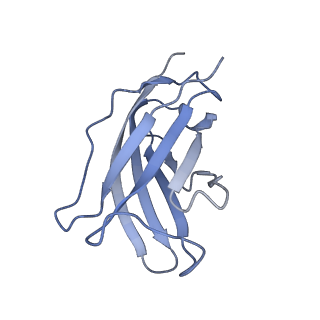 20873_6v8i_BM_v1-0
Composite atomic model of the Staphylococcus aureus phage 80alpha baseplate
