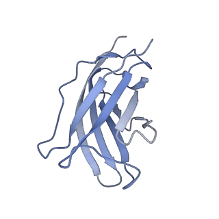 20873_6v8i_BM_v1-1
Composite atomic model of the Staphylococcus aureus phage 80alpha baseplate