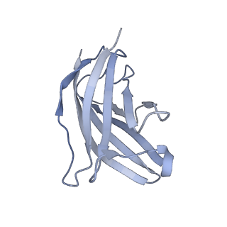 20873_6v8i_BN_v1-0
Composite atomic model of the Staphylococcus aureus phage 80alpha baseplate