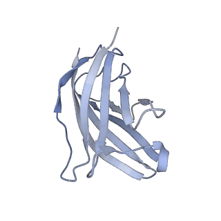 20873_6v8i_BN_v1-1
Composite atomic model of the Staphylococcus aureus phage 80alpha baseplate