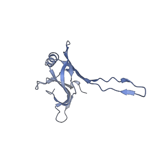 20873_6v8i_CA_v1-0
Composite atomic model of the Staphylococcus aureus phage 80alpha baseplate