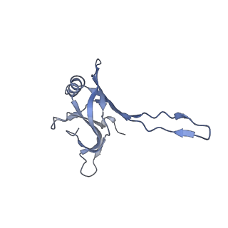 20873_6v8i_CA_v1-1
Composite atomic model of the Staphylococcus aureus phage 80alpha baseplate