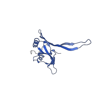 20873_6v8i_CB_v1-0
Composite atomic model of the Staphylococcus aureus phage 80alpha baseplate