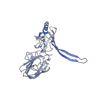 20873_6v8i_CD_v1-0
Composite atomic model of the Staphylococcus aureus phage 80alpha baseplate
