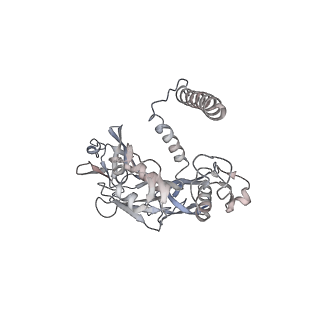 20873_6v8i_CE_v1-1
Composite atomic model of the Staphylococcus aureus phage 80alpha baseplate