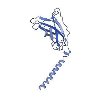 20873_6v8i_CJ_v1-0
Composite atomic model of the Staphylococcus aureus phage 80alpha baseplate