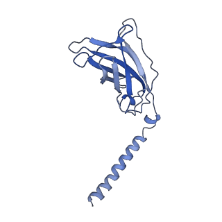 20873_6v8i_CJ_v1-1
Composite atomic model of the Staphylococcus aureus phage 80alpha baseplate