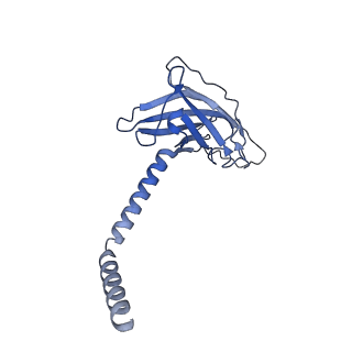 20873_6v8i_CK_v1-1
Composite atomic model of the Staphylococcus aureus phage 80alpha baseplate