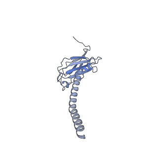 20873_6v8i_CL_v1-1
Composite atomic model of the Staphylococcus aureus phage 80alpha baseplate