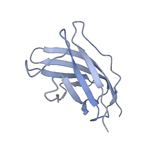 20873_6v8i_CM_v1-1
Composite atomic model of the Staphylococcus aureus phage 80alpha baseplate