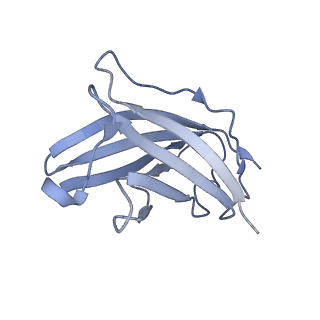20873_6v8i_CN_v1-0
Composite atomic model of the Staphylococcus aureus phage 80alpha baseplate