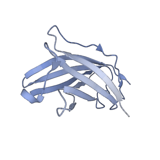 20873_6v8i_CN_v1-1
Composite atomic model of the Staphylococcus aureus phage 80alpha baseplate