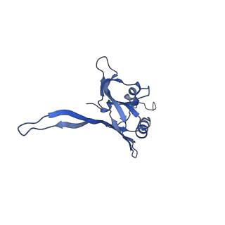 20873_6v8i_DB_v1-1
Composite atomic model of the Staphylococcus aureus phage 80alpha baseplate