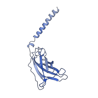 20873_6v8i_DJ_v1-0
Composite atomic model of the Staphylococcus aureus phage 80alpha baseplate