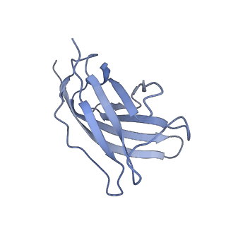 20873_6v8i_DM_v1-0
Composite atomic model of the Staphylococcus aureus phage 80alpha baseplate