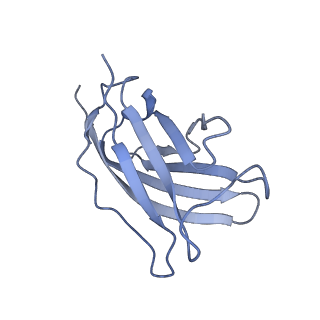 20873_6v8i_DM_v1-1
Composite atomic model of the Staphylococcus aureus phage 80alpha baseplate