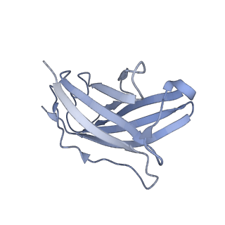 20873_6v8i_DN_v1-1
Composite atomic model of the Staphylococcus aureus phage 80alpha baseplate