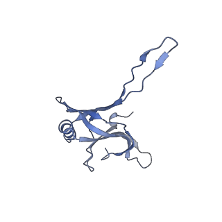 20873_6v8i_EA_v1-1
Composite atomic model of the Staphylococcus aureus phage 80alpha baseplate