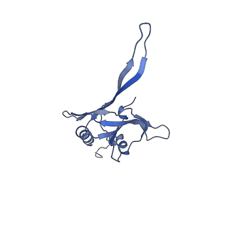 20873_6v8i_EB_v1-0
Composite atomic model of the Staphylococcus aureus phage 80alpha baseplate