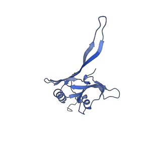 20873_6v8i_EB_v1-1
Composite atomic model of the Staphylococcus aureus phage 80alpha baseplate