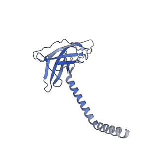 20873_6v8i_EK_v1-1
Composite atomic model of the Staphylococcus aureus phage 80alpha baseplate