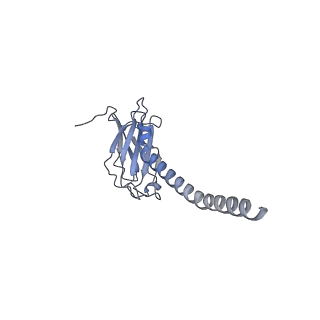 20873_6v8i_EL_v1-0
Composite atomic model of the Staphylococcus aureus phage 80alpha baseplate