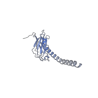 20873_6v8i_EL_v1-1
Composite atomic model of the Staphylococcus aureus phage 80alpha baseplate