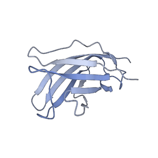 20873_6v8i_EM_v1-1
Composite atomic model of the Staphylococcus aureus phage 80alpha baseplate