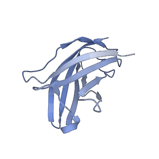 20873_6v8i_EN_v1-1
Composite atomic model of the Staphylococcus aureus phage 80alpha baseplate