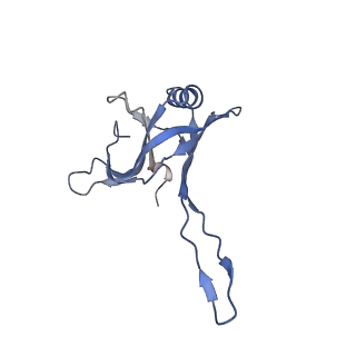 20873_6v8i_FA_v1-1
Composite atomic model of the Staphylococcus aureus phage 80alpha baseplate