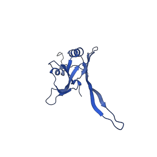 20873_6v8i_FB_v1-0
Composite atomic model of the Staphylococcus aureus phage 80alpha baseplate