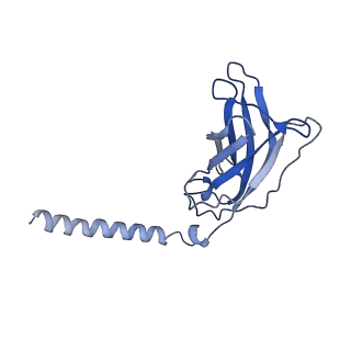 20873_6v8i_FJ_v1-0
Composite atomic model of the Staphylococcus aureus phage 80alpha baseplate