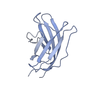 20873_6v8i_FM_v1-0
Composite atomic model of the Staphylococcus aureus phage 80alpha baseplate