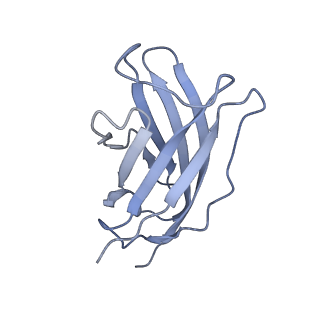 20873_6v8i_FM_v1-1
Composite atomic model of the Staphylococcus aureus phage 80alpha baseplate