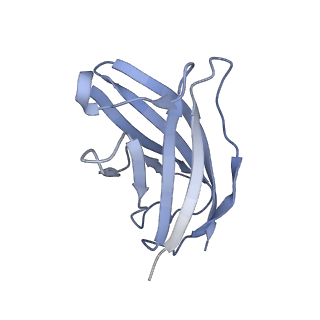 20873_6v8i_FN_v1-0
Composite atomic model of the Staphylococcus aureus phage 80alpha baseplate