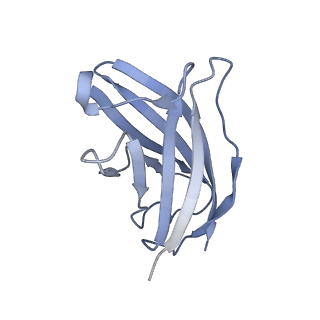 20873_6v8i_FN_v1-1
Composite atomic model of the Staphylococcus aureus phage 80alpha baseplate