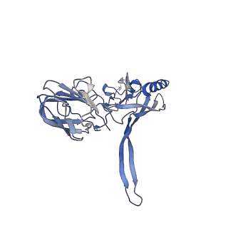 20874_6v8i_AC_v1-0
Composite atomic model of the Staphylococcus aureus phage 80alpha baseplate