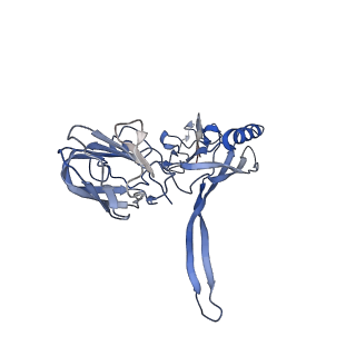 20874_6v8i_AC_v1-1
Composite atomic model of the Staphylococcus aureus phage 80alpha baseplate