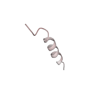 20874_6v8i_AF_v1-1
Composite atomic model of the Staphylococcus aureus phage 80alpha baseplate