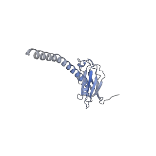 20874_6v8i_AL_v1-0
Composite atomic model of the Staphylococcus aureus phage 80alpha baseplate