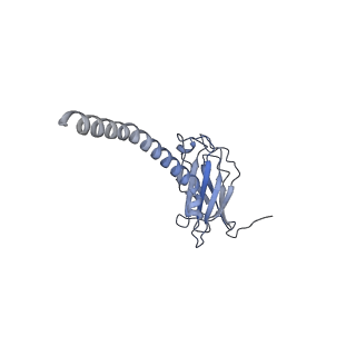 20874_6v8i_AL_v1-1
Composite atomic model of the Staphylococcus aureus phage 80alpha baseplate