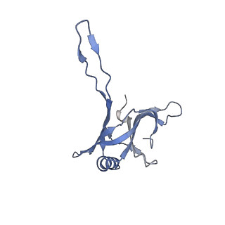 20874_6v8i_BA_v1-0
Composite atomic model of the Staphylococcus aureus phage 80alpha baseplate