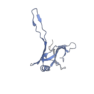 20874_6v8i_BA_v1-1
Composite atomic model of the Staphylococcus aureus phage 80alpha baseplate