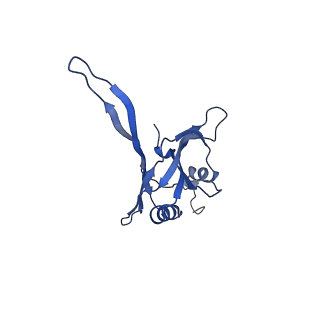 20874_6v8i_BB_v1-1
Composite atomic model of the Staphylococcus aureus phage 80alpha baseplate