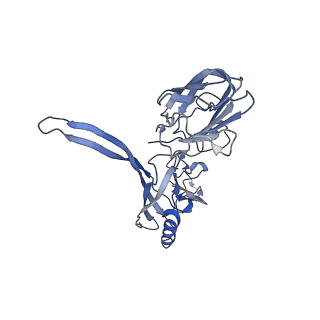 20874_6v8i_BC_v1-0
Composite atomic model of the Staphylococcus aureus phage 80alpha baseplate