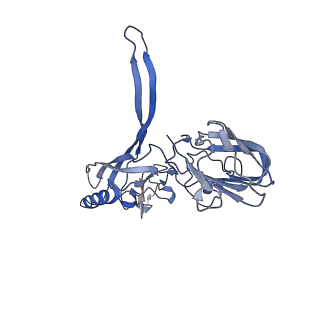 20874_6v8i_BD_v1-0
Composite atomic model of the Staphylococcus aureus phage 80alpha baseplate