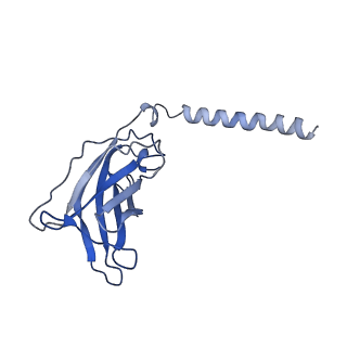 20874_6v8i_BJ_v1-1
Composite atomic model of the Staphylococcus aureus phage 80alpha baseplate