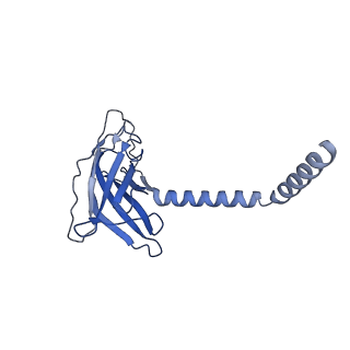 20874_6v8i_BK_v1-1
Composite atomic model of the Staphylococcus aureus phage 80alpha baseplate